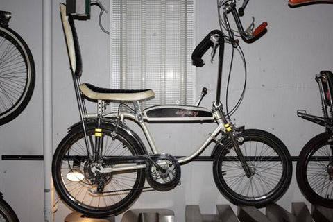 1960's Japanese Skyway Muscle Bike