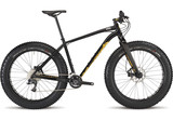 2015 Specialized Fatboy
